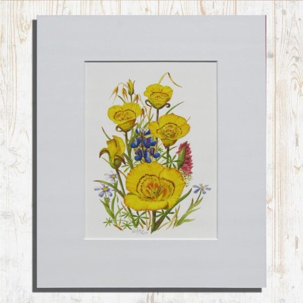 Yellow Mariposa Lilies Print Primary