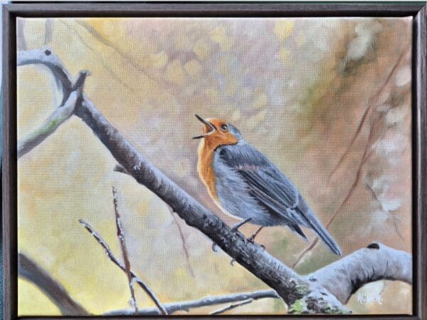 A robin song | oil painting | framed