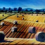 Rolling hay field