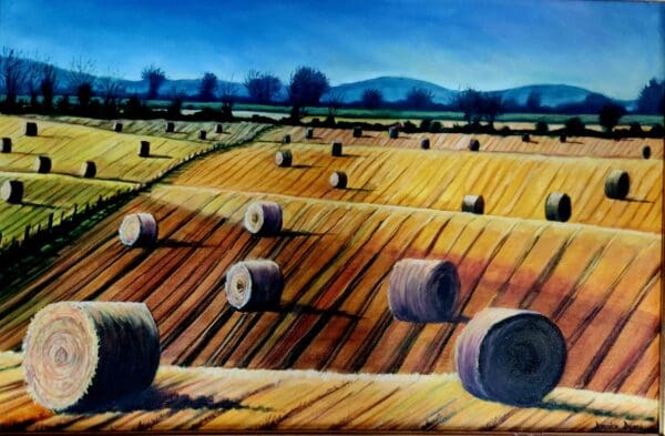 Rolling hay field