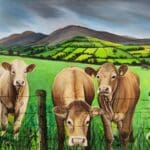 Cattle in the Galtees
