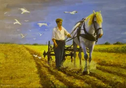 Getting ready to plant seed