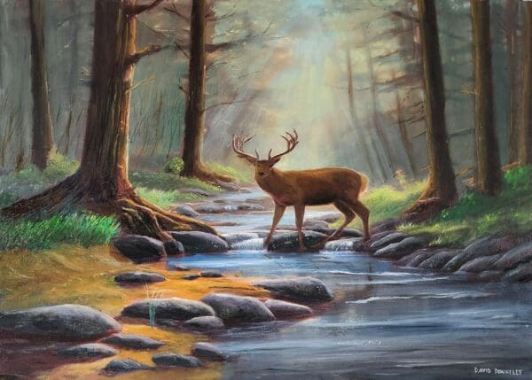 Deer in Forest