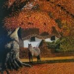 Beneath the Autumn Canopy