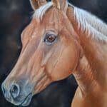 palomino horse