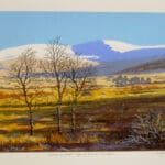 Winter Sunlight, Glen of Imaal