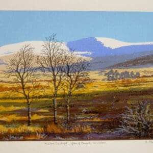 Winter Sunlight, Glen of Imaal