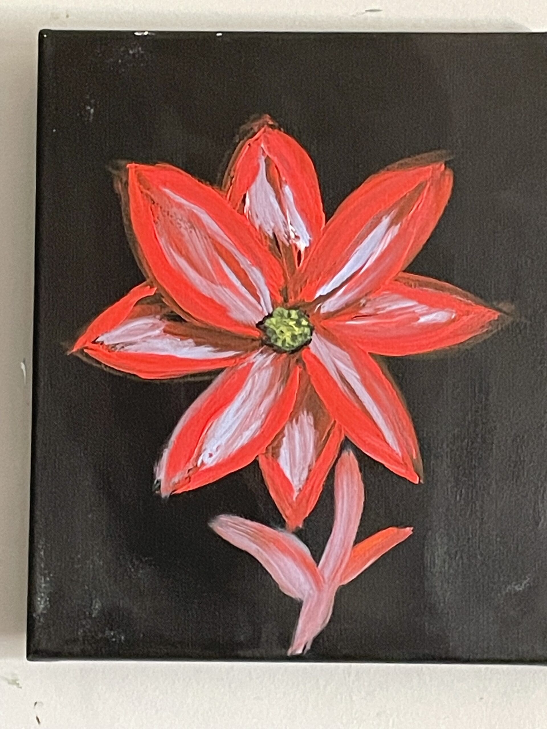 Star Flower