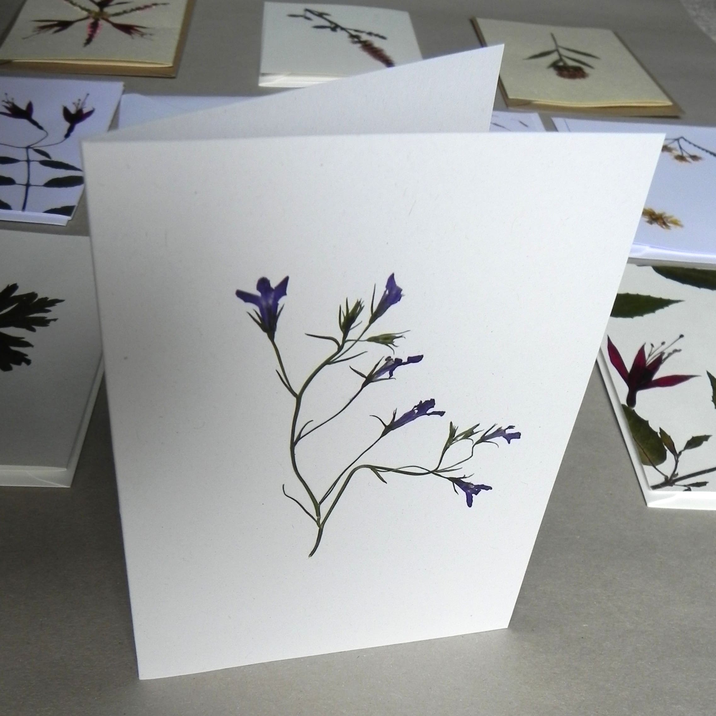 10 Unique Real Pressed Flowers & Leaves Cards - Pack #1 - Image 3
