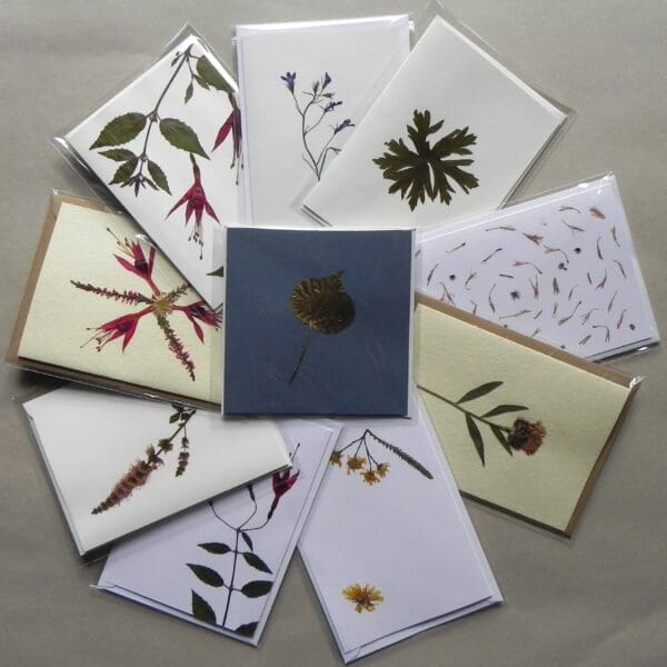 10 Unique Real Pressed Flowers & Leaves Cards - Pack #1