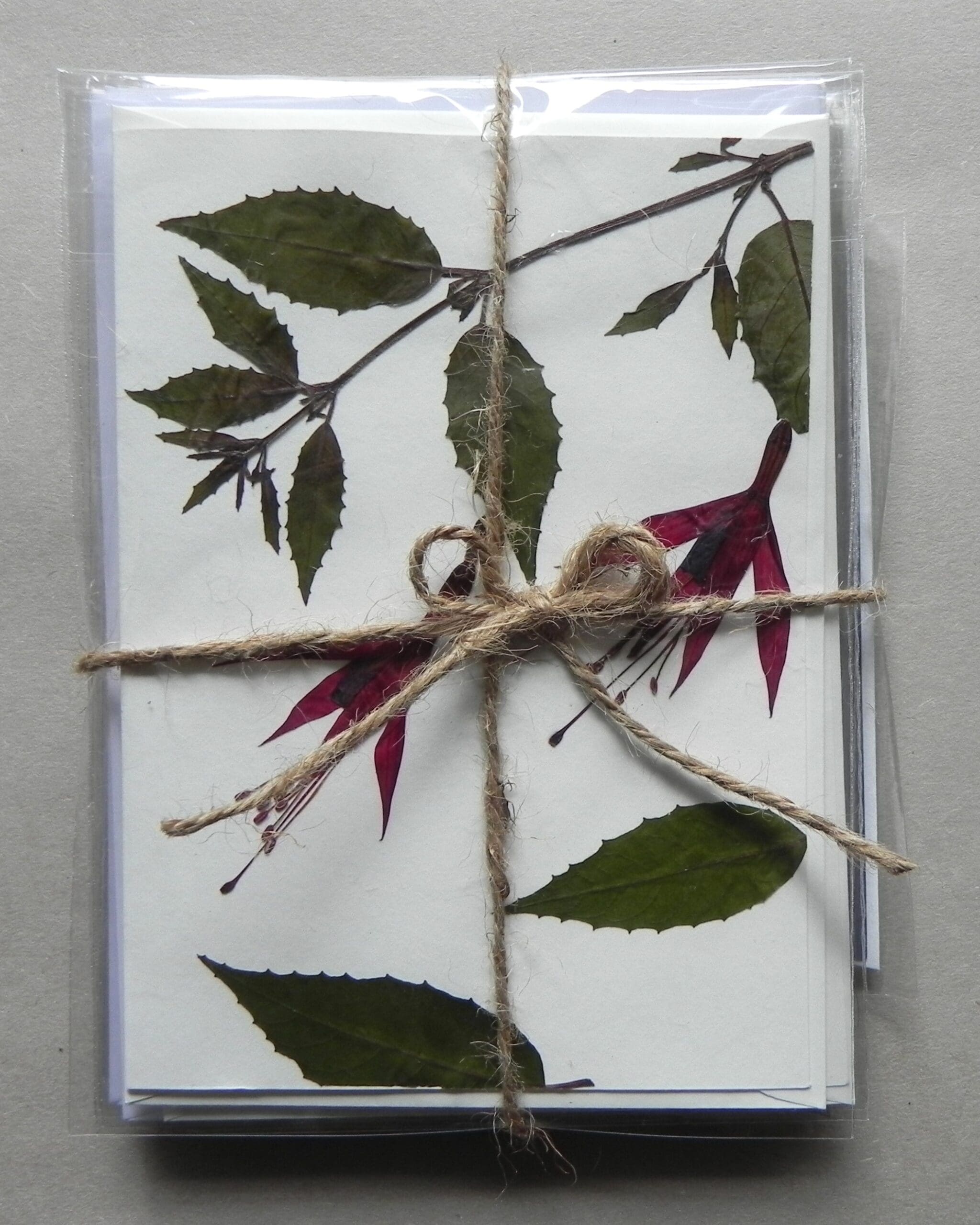 10 Unique Real Pressed Flowers & Leaves Cards - Pack #1 - Image 2