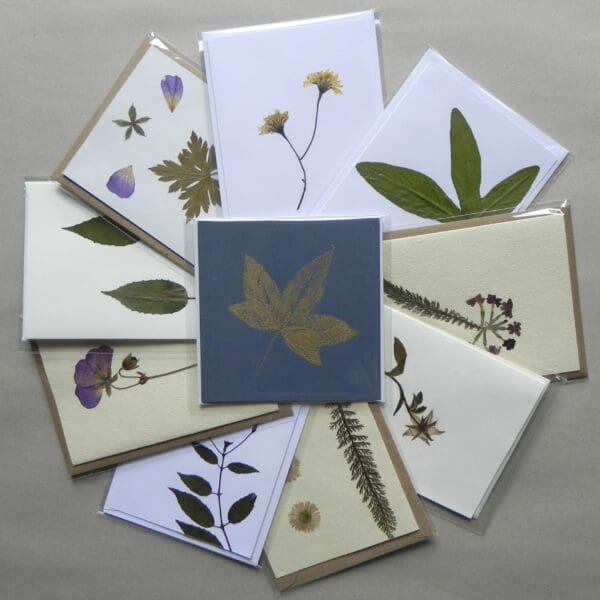 10 Unique Real Pressed Flowers & Leaves Cards - Pack #2