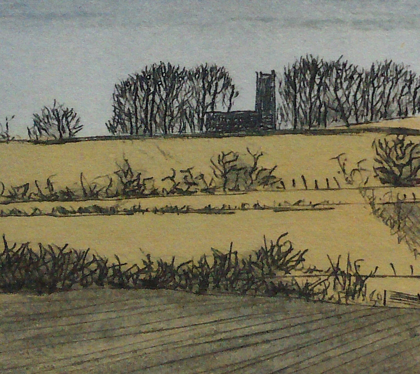 Tara View. - Image 3