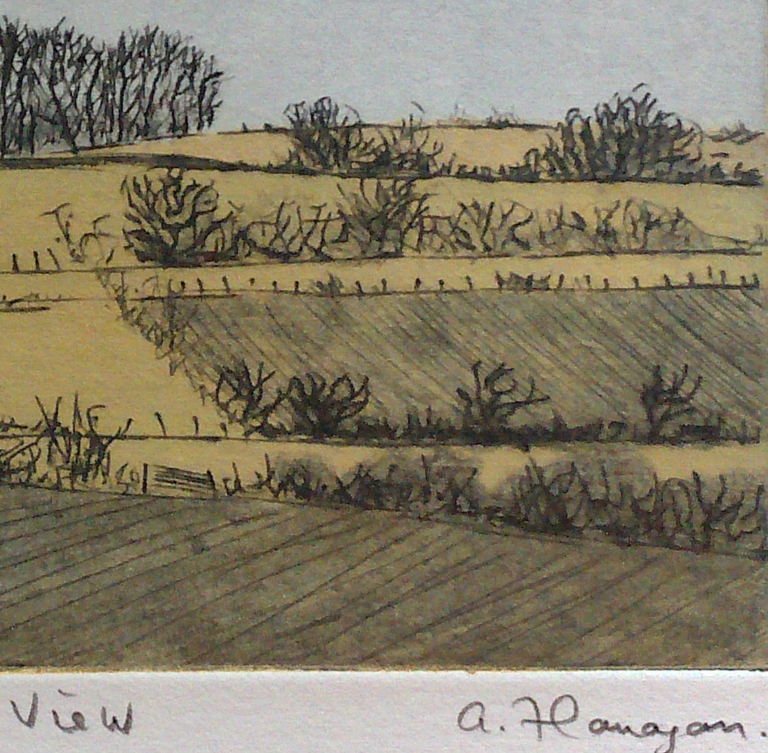 Tara View. - Image 4