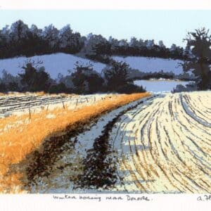 Winter morning near Donore