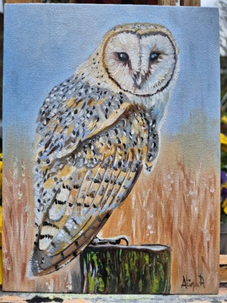 Barn Owl | Oil Painting on Canvas panel