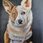 Corgi / oil painting on canvas panel