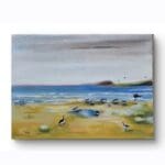 Canadian Geese at Mulranny