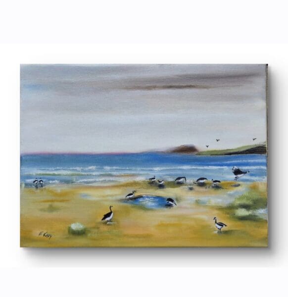 Canadian Geese at Mulranny