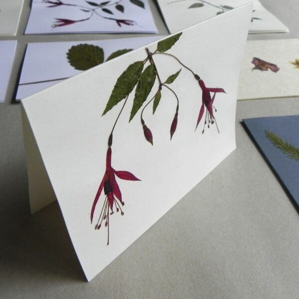 Unique Cards with Real Pressed Flowers - Pack #3