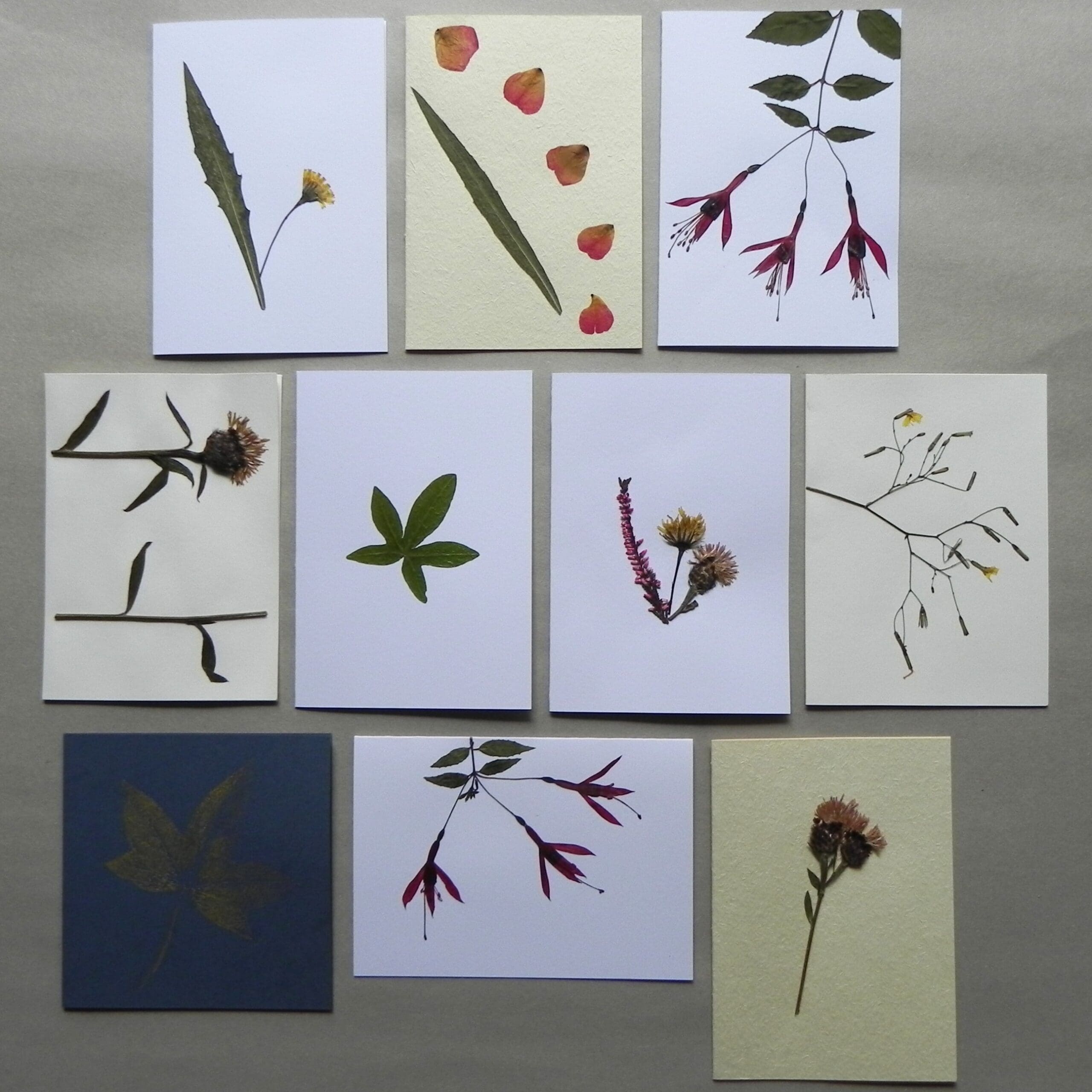 Unique Cards with Real Pressed Flowers - Pack #4 - Image 2