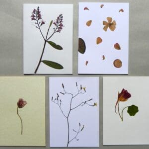 5 Unique Cards with Real Pressed Flowers - Bundle #1