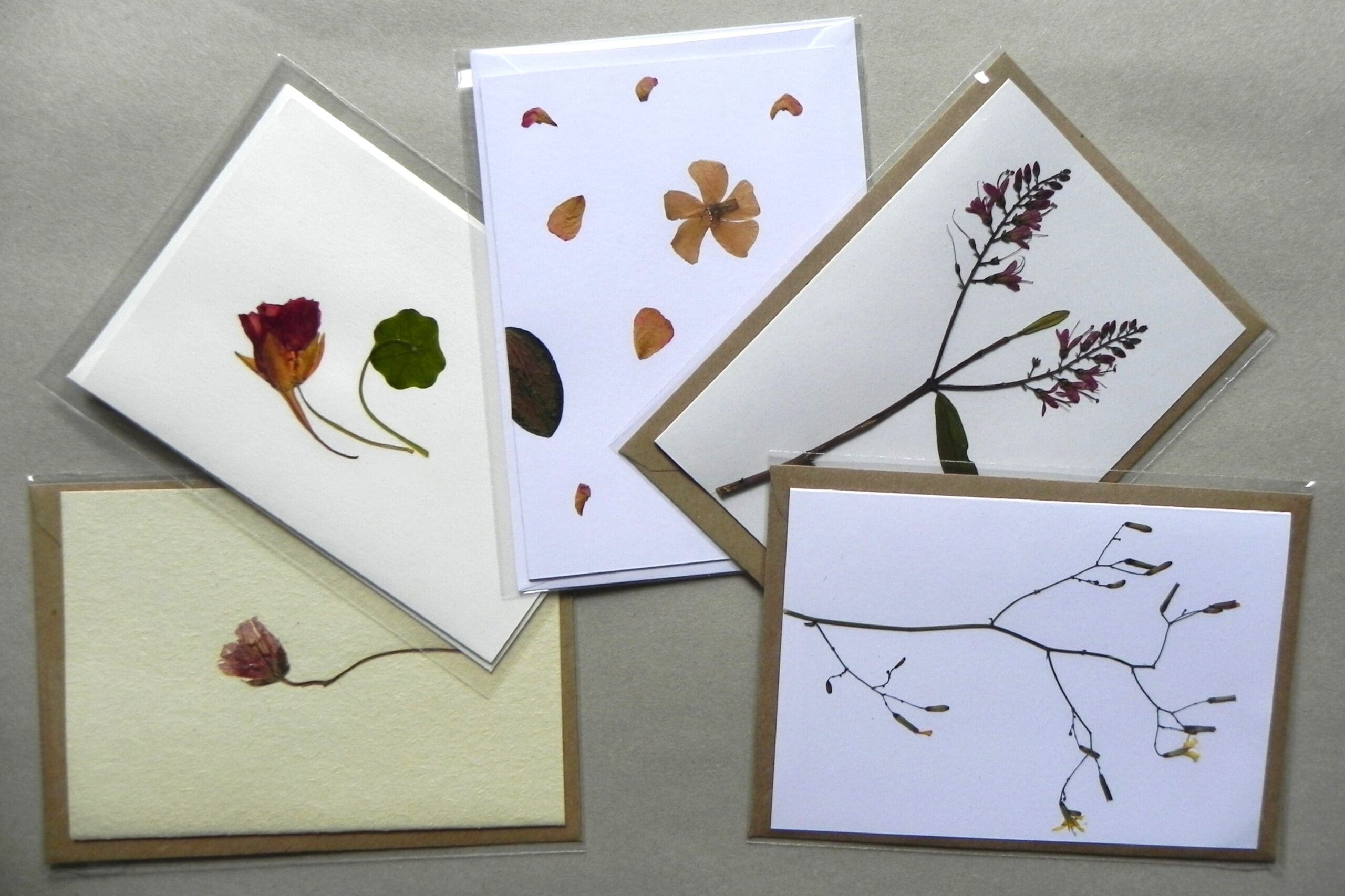 5 Unique Cards with Real Pressed Flowers - Bundle #1 - Image 4