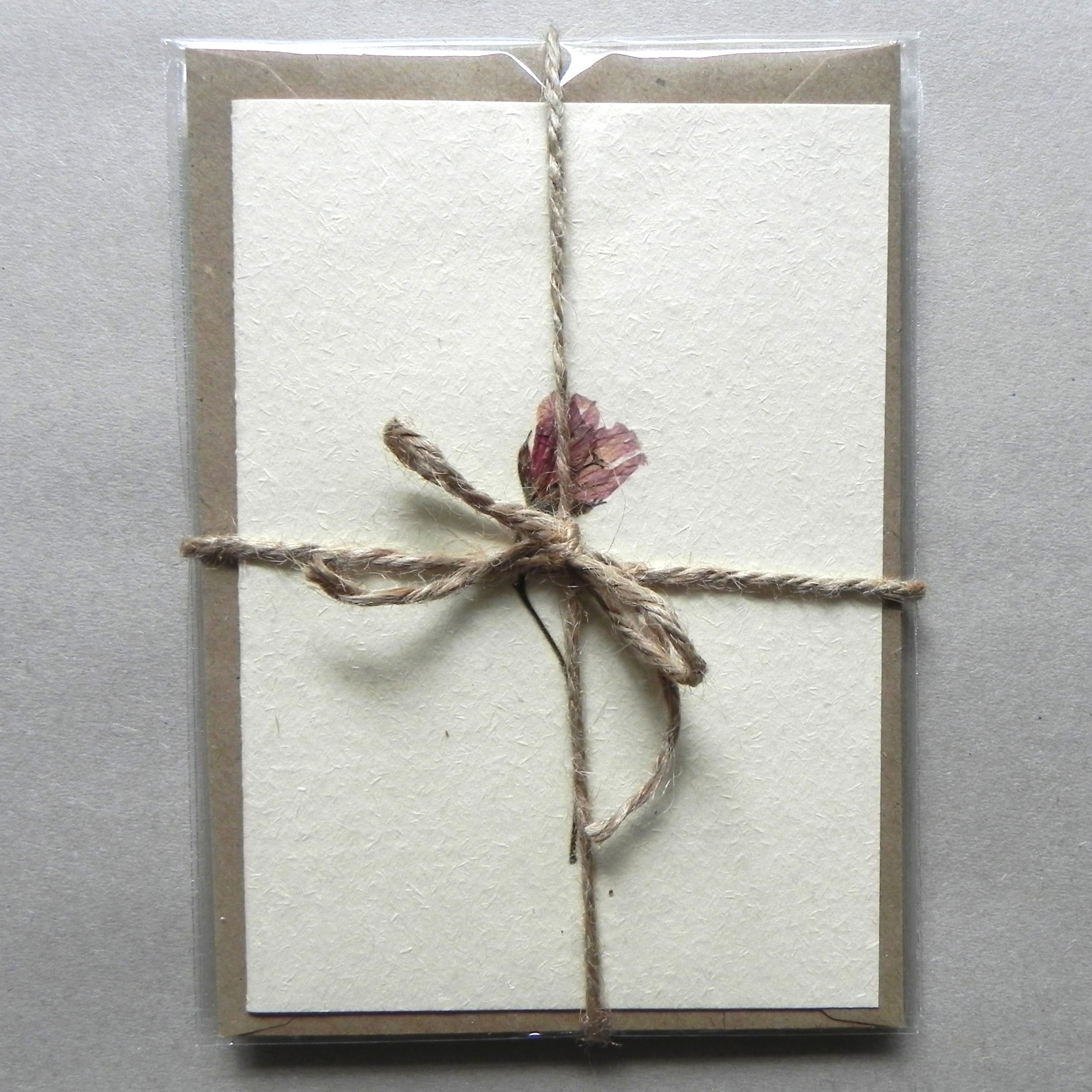 5 Unique Cards with Real Pressed Flowers - Bundle #1 - Image 2