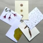 5 Unique Cards with Real Pressed Flowers - Bundle #3