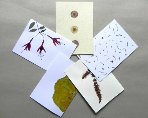 5 Unique Cards with Real Pressed Flowers - Bundle #3