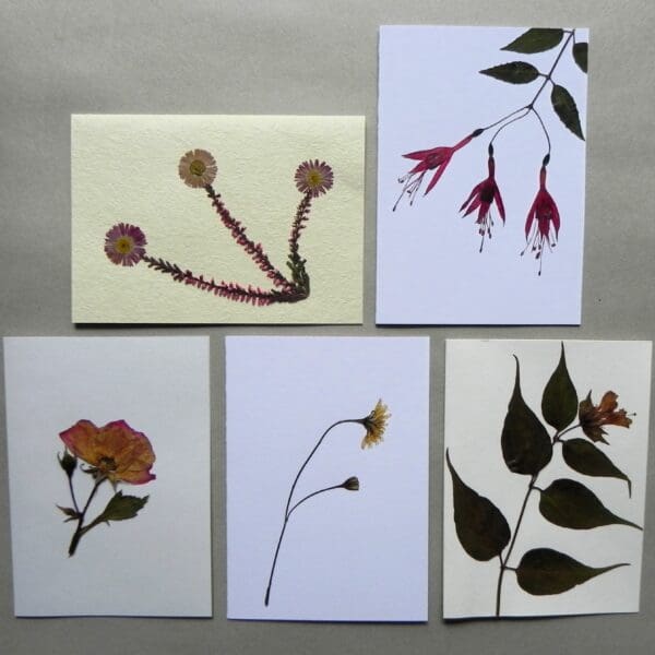 5 Unique Cards with Real Pressed Flowers - Bundle #5