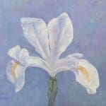 Wild Iris