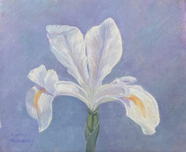 Wild Iris