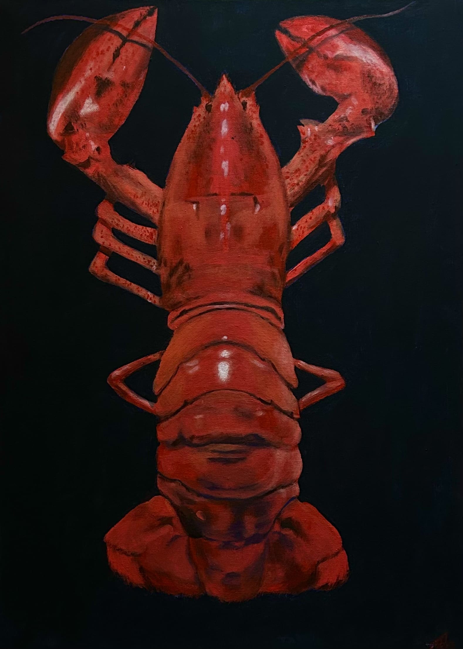 Large Lobster