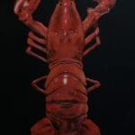 Large Lobster