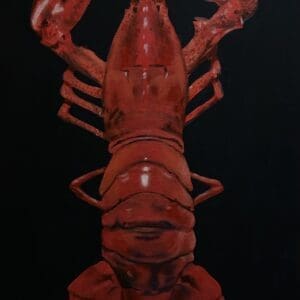 Large Lobster