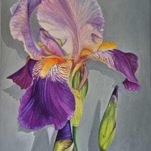 Violet Iris | Oil Painting on Canvas