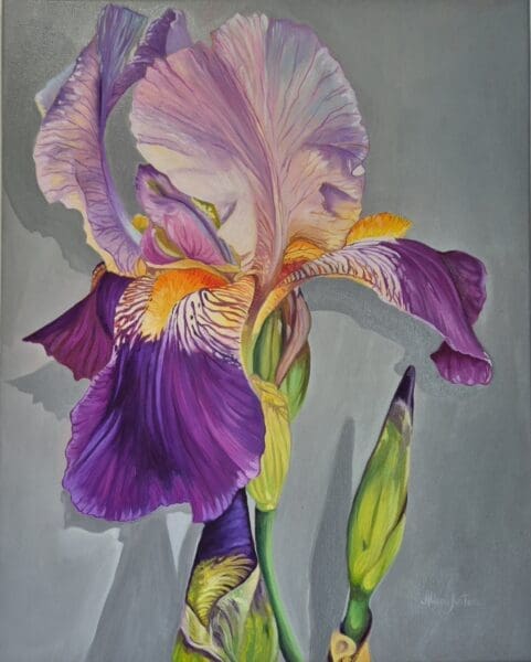 Violet Iris | Oil Painting on Canvas