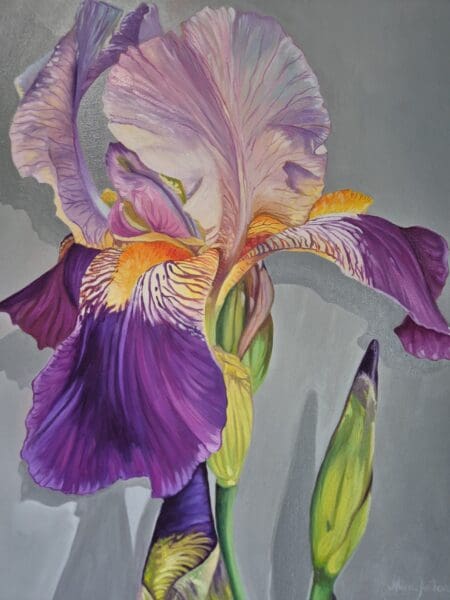 Violet Iris | Oil Painting on Canvas