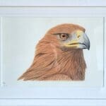 Golden Eagles Paired for Life