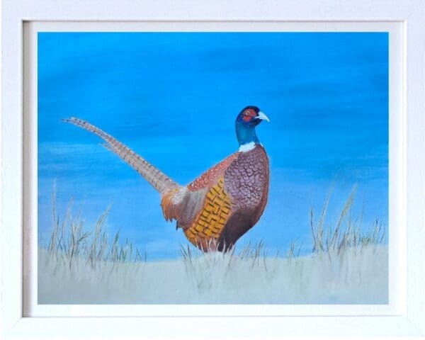 Pheasant in Winter