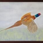 Pheasant in Flight
