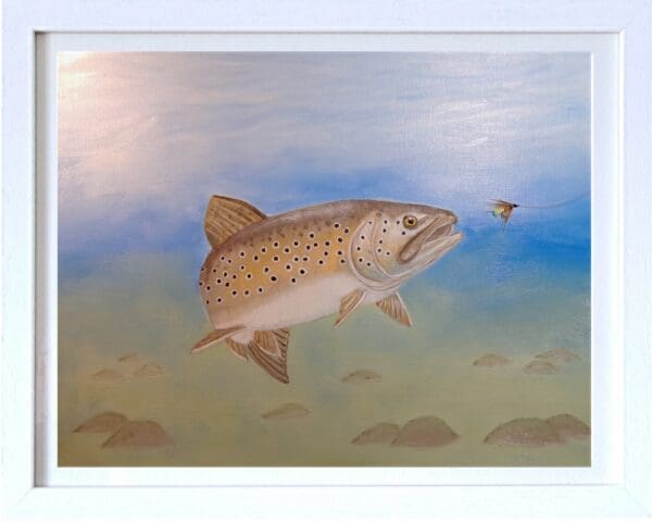 Trout being Lured