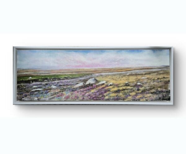 Connemara's Derrigimlagh Bog