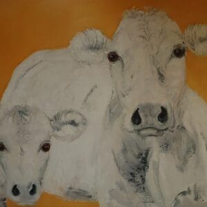 Cow & calf