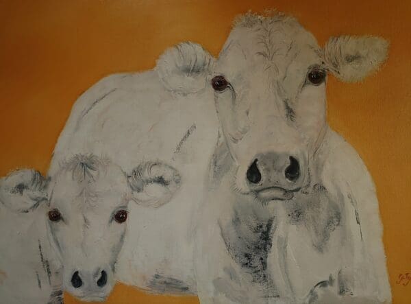 Cow & calf