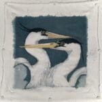 Herons in Blue