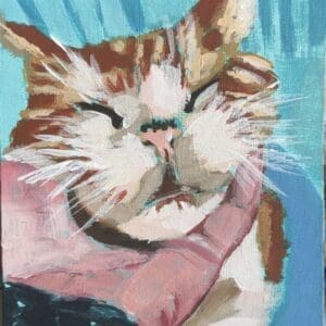 Capturing the feeling of our pets at home