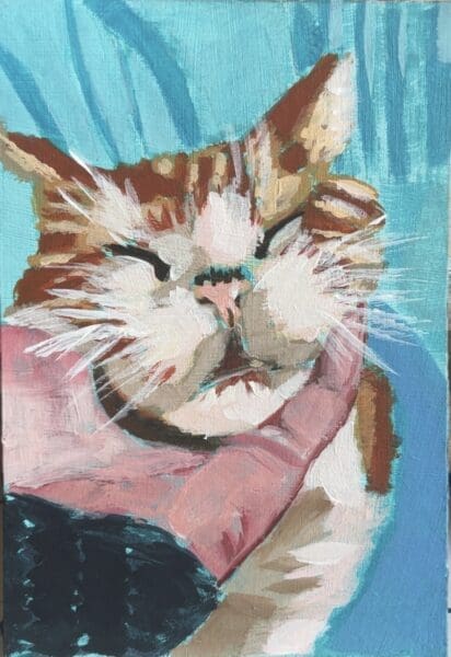 Capturing the feeling of our pets at home