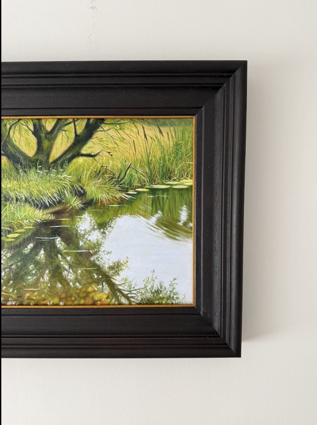 Peaceful Riverbank - Image 4